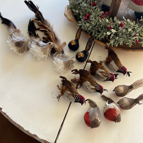 13 Decorative Birds - Picture 2 of 7